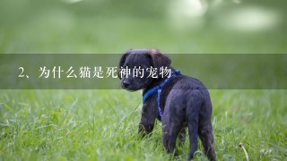 为什么猫是死神的宠物