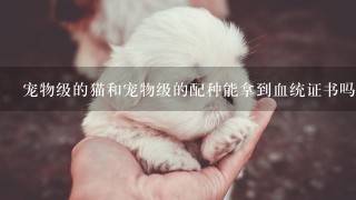 宠物级的猫和宠物级的配种能拿到血统证书吗？