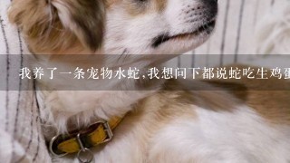 我养了一条宠物水蛇,我想问下都说蛇吃生鸡蛋