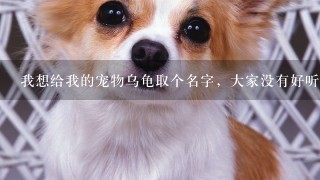 我想给我的宠物乌龟取个名字，大家没有好听的名字？