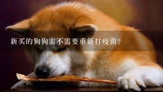 新买的狗狗需不需要重新打疫苗？