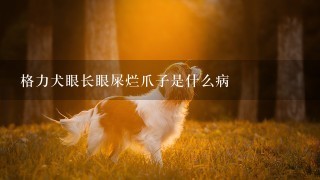 格力犬眼长眼屎烂爪子是什么病