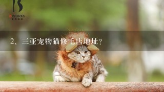 三亚宠物猫修毛店地址？