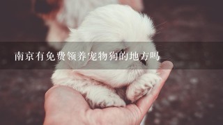 南京有免费领养宠物狗的地方吗