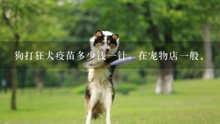 狗打狂犬疫苗多少钱一针，在宠物店一般。