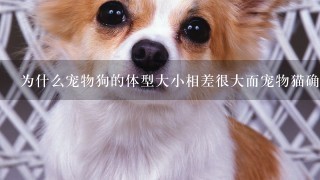 为什么宠物狗的体型大小相差很大而宠物猫确差不多大？