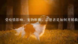 受疫情影响，宠物断粮，志愿者是如何开展救援的？