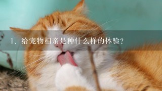 给宠物相亲是种什么样的体验？