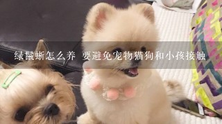 绿鬣蜥怎么养 要避免宠物猫狗和小孩接触