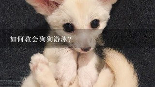 如何教会狗狗游泳？