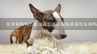 你养狗狗吗？你知道怎么让狗狗乖乖吃东西吗？