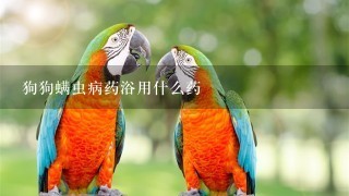 狗狗螨虫病药浴用什么药