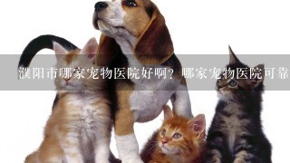 濮阳市哪家宠物医院好啊？哪家宠物医院可靠啊？不坑人的，在线等！！！！