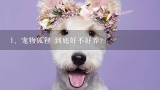 宠物狐狸 到底好不好养？