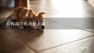 狗狗高兴的奇葩表现？