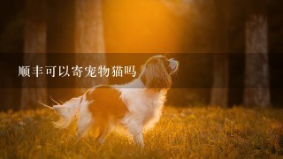 顺丰可以寄宠物猫吗