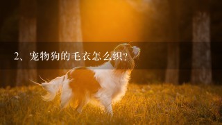 宠物狗的毛衣怎么织？