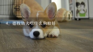 德牧幼犬吃什么狗粮好