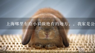 上海哪里有给小猫做绝育的地方。我家是公猫。价格多少。