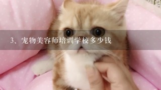 宠物美容师培训学校多少钱