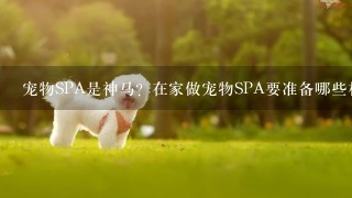 宠物SPA是神马？在家做宠物SPA要准备哪些材料？