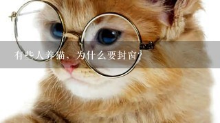 有些人养猫，为什么要封窗？