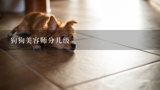 狗狗美容师分几级