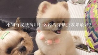 小狗有皮肤病用什么药治疗螨虫效果最好？