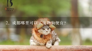 成都哪里可以买宠物狗便宜？