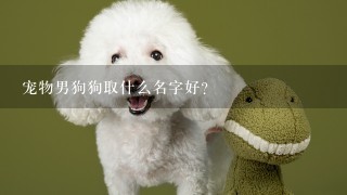 宠物男狗狗取什么名字好?