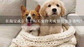 在淘宝或京东上购买宠物犬或猫安全靠谱吗？