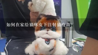 如何在家给猫咪皮下注射猫疫苗？