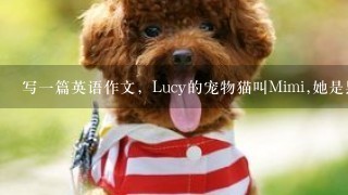 写一篇英语作文，Lucy的宠物猫叫Mimi,她是黑白相间的，吃鱼和肉；Mimi虽小，却擅长抓老鼠