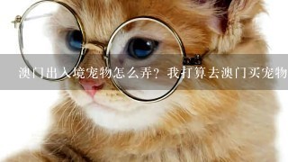 澳门出入境宠物怎么弄？我打算去澳门买宠物猫。但是