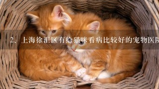 上海徐汇区有给猫咪看病比较好的宠物医院吗？