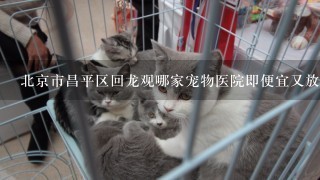 北京市昌平区回龙观哪家宠物医院即便宜又放心？