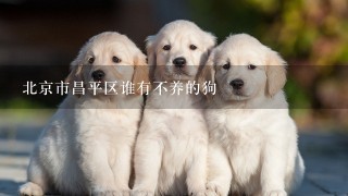 北京市昌平区谁有不养的狗