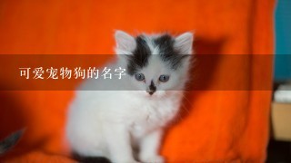 可爱宠物狗的名字