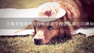 上海圣宠宠物美容师培训学校怎么样？口碑如何？