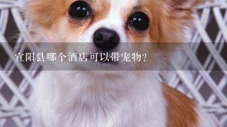 宜阳县哪个酒店可以带宠物？