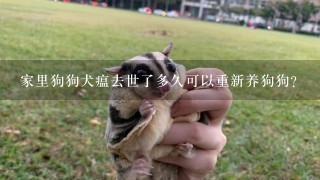 家里狗狗犬瘟去世了多久可以重新养狗狗？