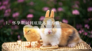 怀孕期间到底能不能养猫？