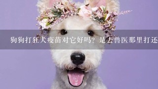 狗狗打狂犬疫苗对它好吗？是去兽医那里打还是宠物店打？