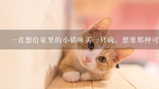 一直想给家里的小猫咪买一只碗，想要那种可爱的，大