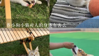 养小狗小猫对人的身体有害么