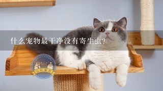 什么宠物最干净没有寄生虫？