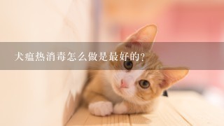 犬瘟热消毒怎么做是最好的？