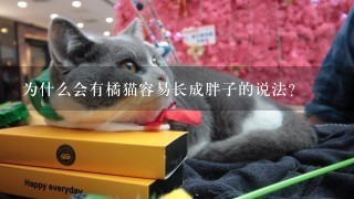 为什么会有橘猫容易长成胖子的说法?