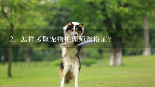 怎样考取宠物护理师资格证？