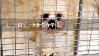 全国前十宠物美容学校